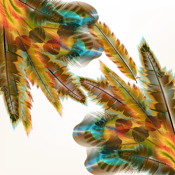 Farbenfroher Hintergrund mit Vogelfedern — Stockvektor