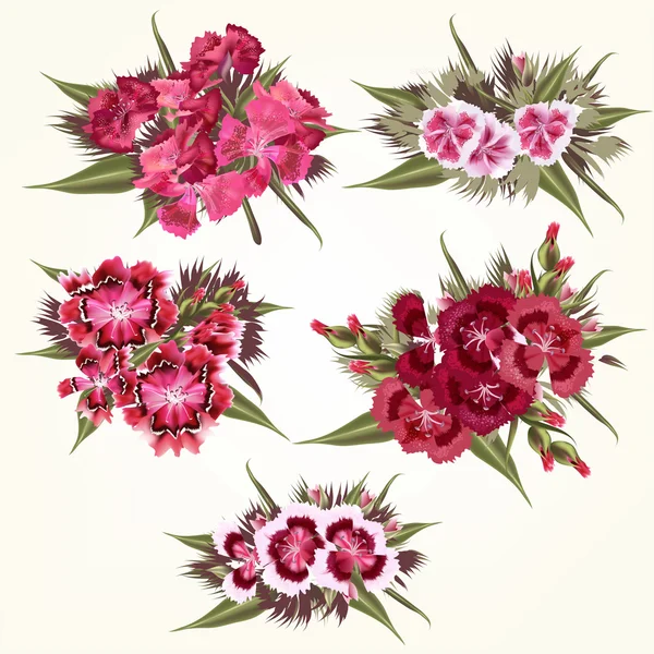 Set of vector  pink flowers in detailed and realistic style — ストックベクタ