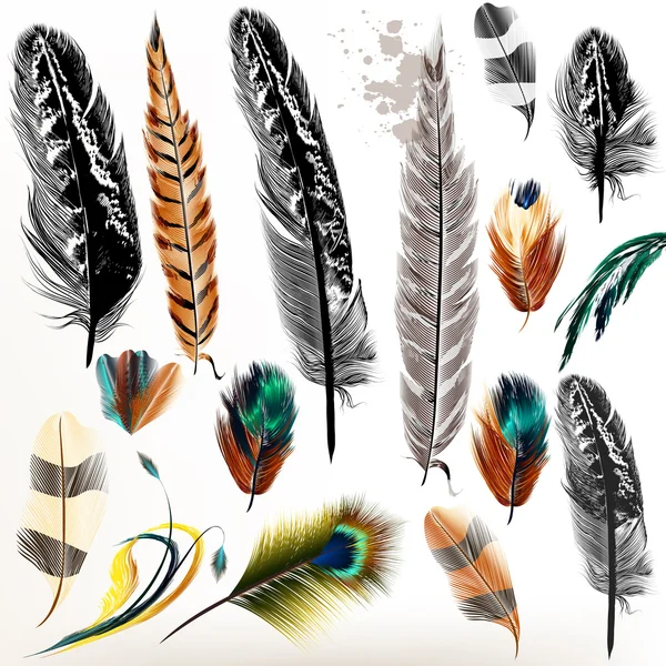 Набор векторных реалистичных красочных перьев — стоковый вектор