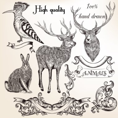 Yüksek Detaylı vektör hayvanlar için tasarım kümesi
