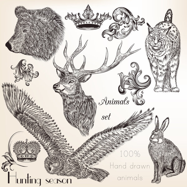 Set of vector hand drawn animals