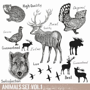 Vektör el dizi detaylı orman hayvanları çizilmiş