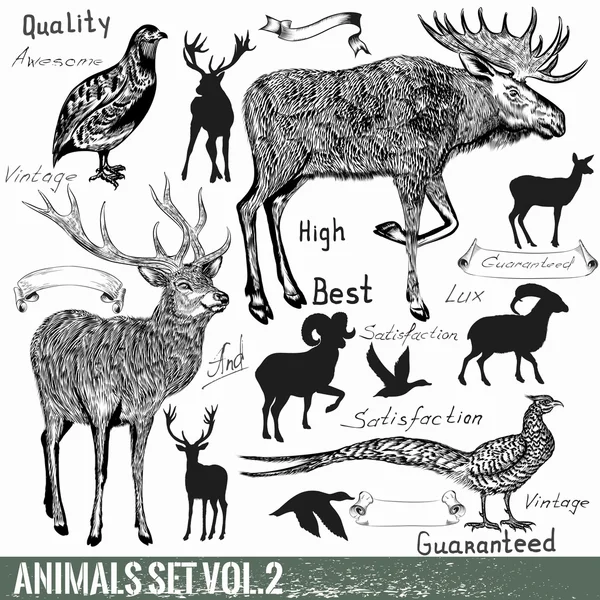 Conjunto de vectores dibujados a mano detallados animales salvajes — Archivo Imágenes Vectoriales