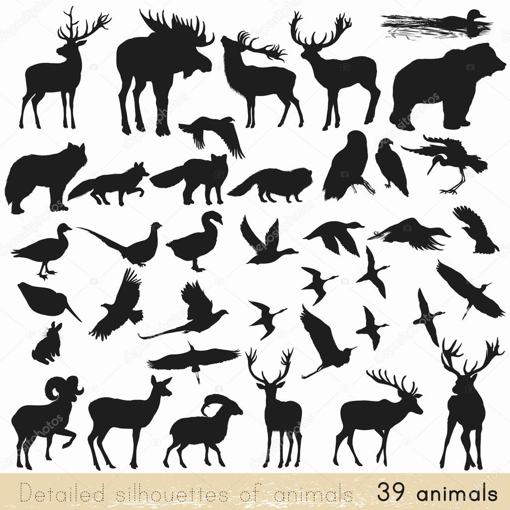 Set of vector animal silhouettes for design