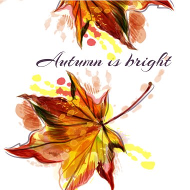 Autumn vector background with yellow red maple leaf. Autumn is b