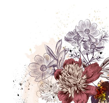 Floral illustration with peony and cosmos flowers