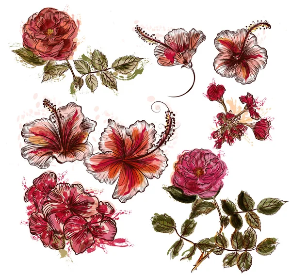 Colección floral de flores vectoriales con acuarela colorida spo — Archivo Imágenes Vectoriales