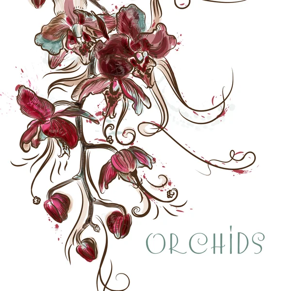 Vektorillustration mit eingravierten Orchideenblumen — Stockvektor