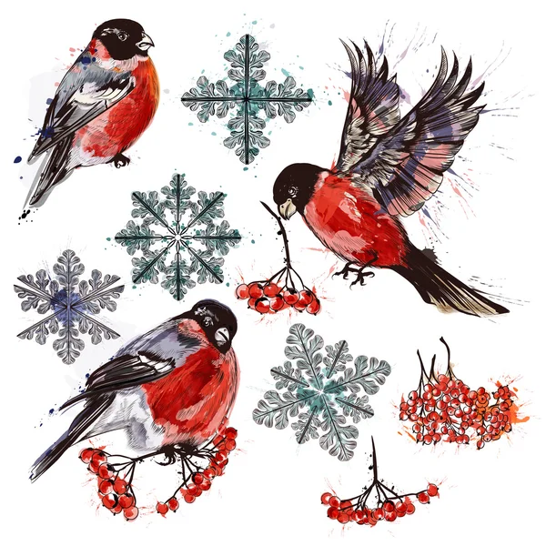 Collection d'oiseaux de bouleau, flocons de neige et rowan — Image vectorielle