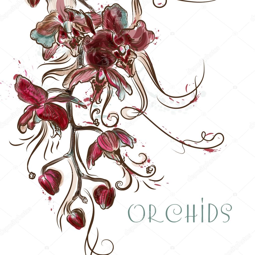 Vector illustration with engraved orchid flowers