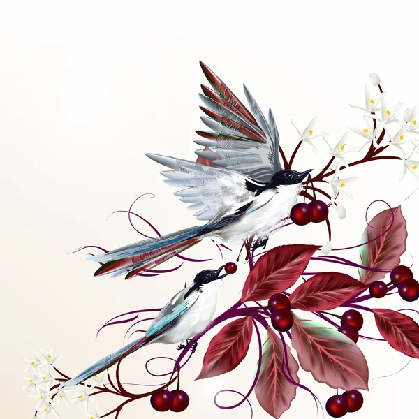 Illustration vectorielle florale avec oiseaux et branches — Image vectorielle