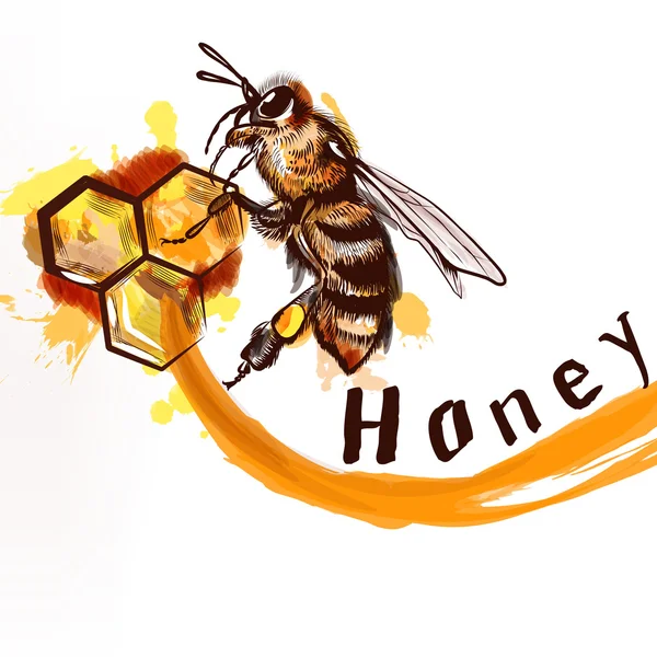Нарисованная вручную детальная пчела сидит на расческе, полной медового натура — стоковый вектор