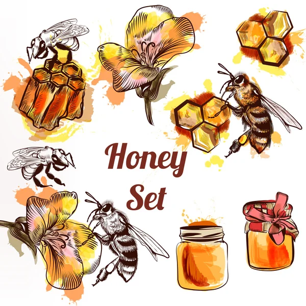 Honig Set oder Sammlungselemente Bienen Waben und Honig im Wasser — Stockvektor