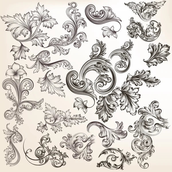 Vector set floral elementen voor design. Kalligrafische vector — Stockvector