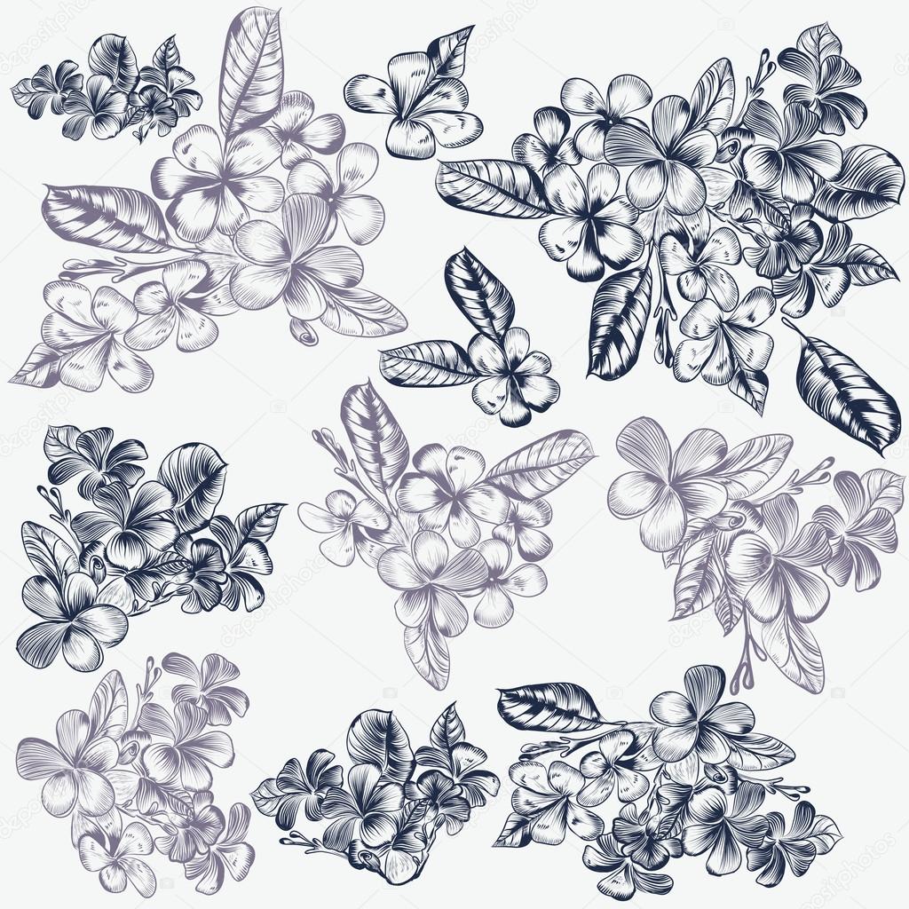 Set of vector hand drawn flowers for invitation designs patterns