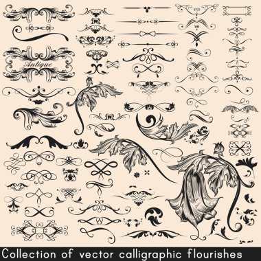 Vektör tasarımı için kaligrafi monogram set. Kaligrafi vec