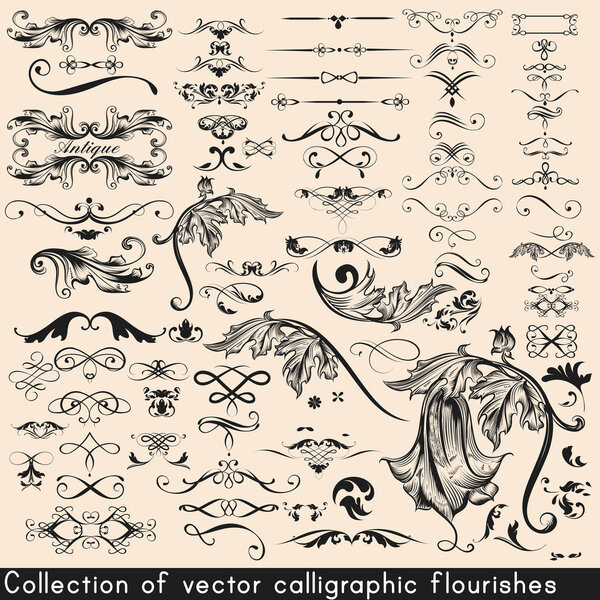 Vector set of calligraphic monogram for design. Calligraphic vec