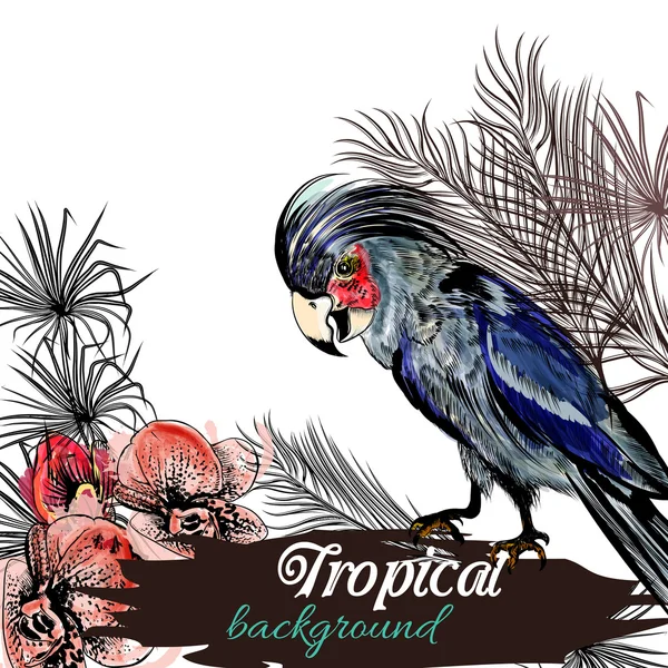 Illustrazione vettoriale a tema tropicale con foglie di palma, orchidee — Vettoriale Stock