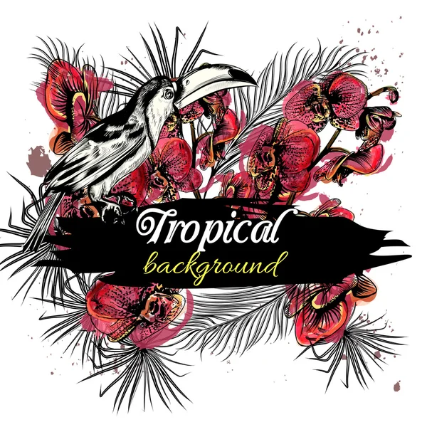 Ilustración vectorial sobre un tema tropical con hojas de palma, orquídeas — Vector de stock