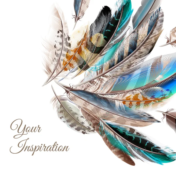 Fashion  vector background with blue white and brown  feathers i — Stock Vector