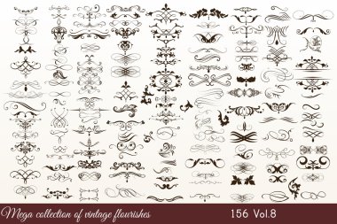 vektör tasarımı için kaligrafi öğeleri kümesi. Kaligrafi vec