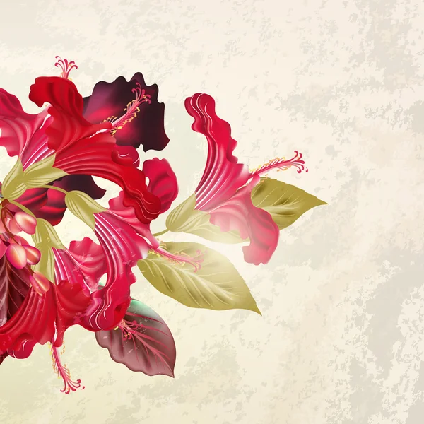 Illustration vectorielle avec fleurs d'hibiscus dans un style rétro — Image vectorielle