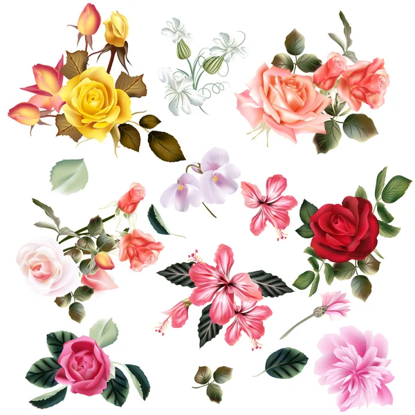 Hermosa colección de flores vectoriales — Vector de stock