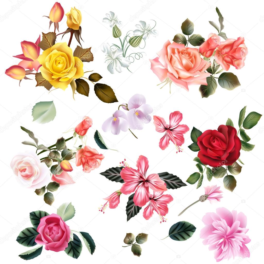 Monarch set pattern crochet. Glossy flower map. Different flowers. Shine flowers. Flowers set.