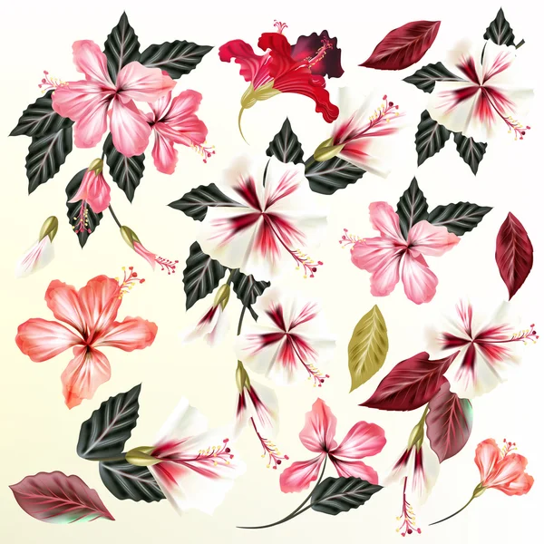 Hermosa colección de flores vectoriales — Archivo Imágenes Vectoriales