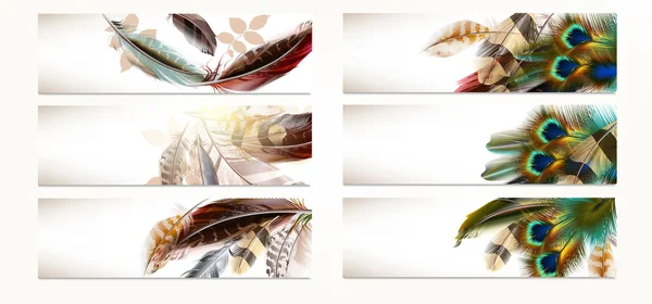 ベクトルの現実的なカラフルな羽のセット — ストックベクタ