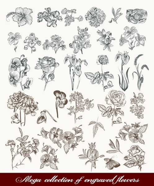 Mega coleção de flores vetoriais detalhadas de alta para design — Vetor de Stock