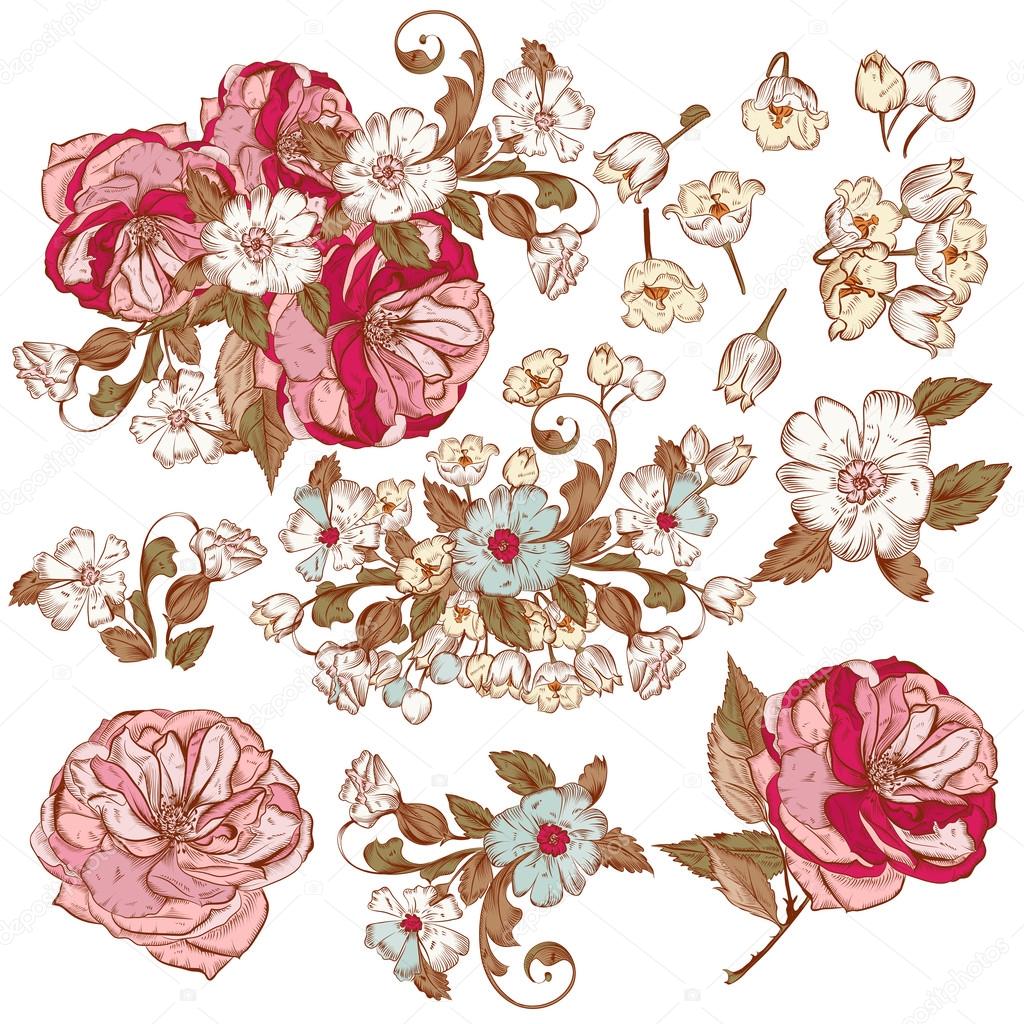 Vector collection of detailed vector flowers for design