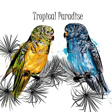 Papağan ve tropikal palmiye ile vektör çizim içinde N'ever yapraklar