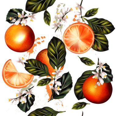 Vektör seamless modeli için de çiçek ile gerçekçi limonlu