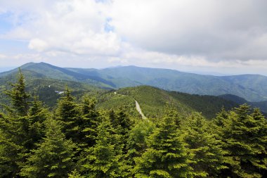 Mount Mitchell View clipart