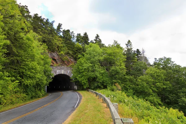 Tunel na Blue Ridge Parkway — Zdjęcie stockowe