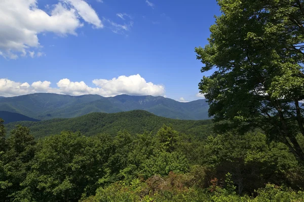 在夏季和 Blue Ridge 大道从北卡罗莱纳州山 — 图库照片