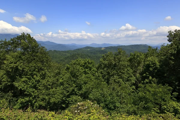 夏にブルーリッジ パークウェイからノースカロライナの山々 — ストック写真