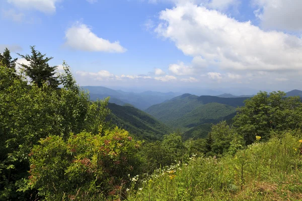 夏の間は ブルーリッジ パークウェイからノースカロライナ山 — ストック写真