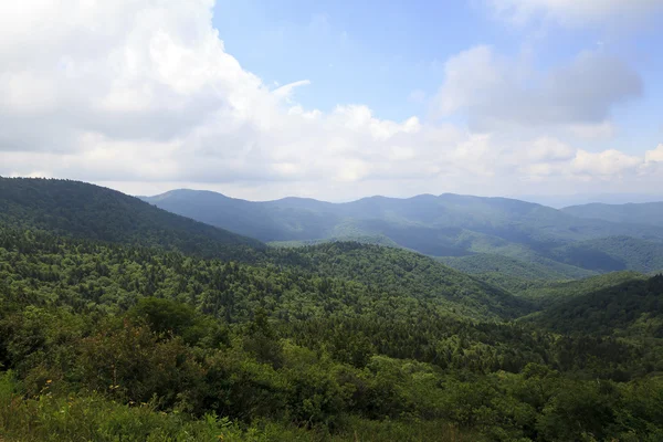 在夏季和 Blue Ridge 大道从北卡罗莱纳州山 — 图库照片