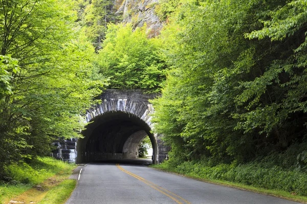 Tunnel op de Blue Ridge Parkway — Stockfoto