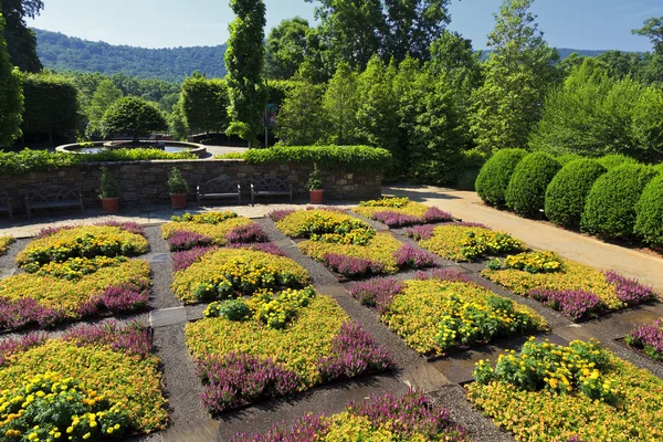 Arboreto della Carolina del Nord — Foto Stock