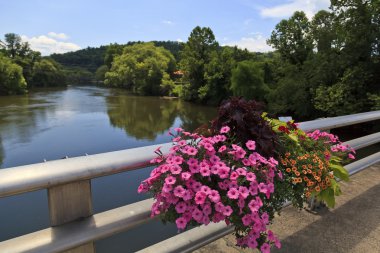 Köprüde Bryson City, North Carolina, raylar üzerinde güzel çiçekler ile sonbaharda Tuckasegee Nehri.