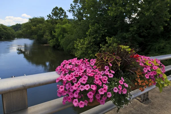 Fiume Tuckasegee — Foto Stock