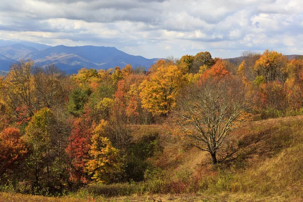 Вид Дороги Макс Патч Горах Северной Каролины Осенью — стоковое фото