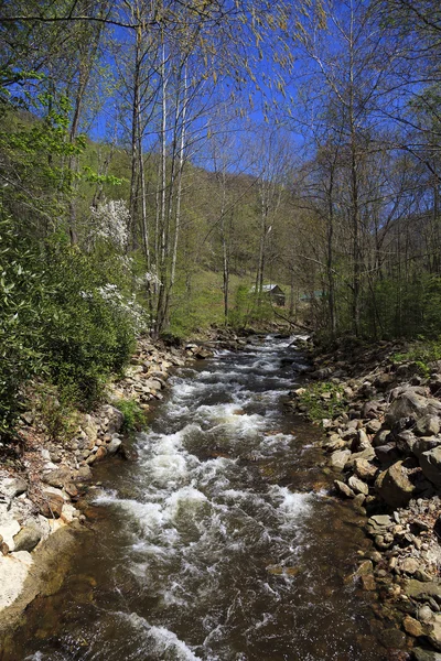 Springtime Creek in de bergen — Stockfoto