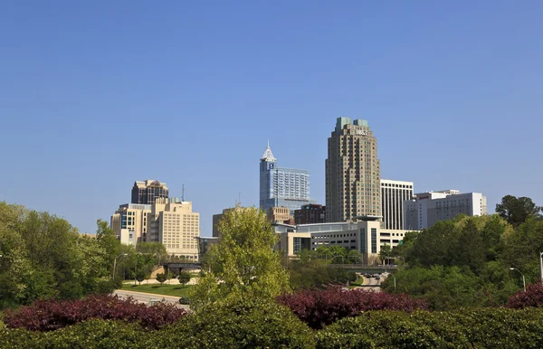 Skyline Raleigh Северная Каролина Дневное Время — стоковое фото