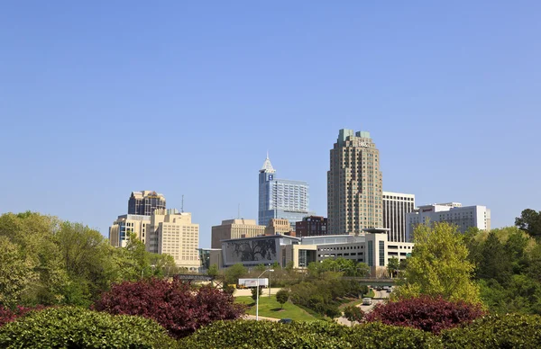 Skyline Von Raleigh Nördlich Carolina Tagsüber — Stockfoto