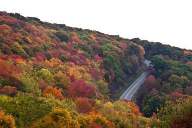 Cherohala Skyway sonbaharda