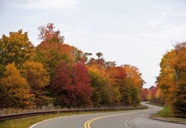 Pretty Road in the Fall clipart